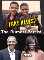 Why do so many people believe that Michelle ''Michael'' Obama is a biological man? The late Pierre Salinger, Kennedy and Johnson's press secretary, was said to believe everything he read on the internet, and would have loved this story. 